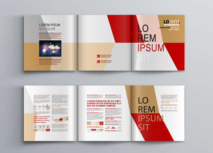 @所有人“真金白银”的补贴补助记得领！